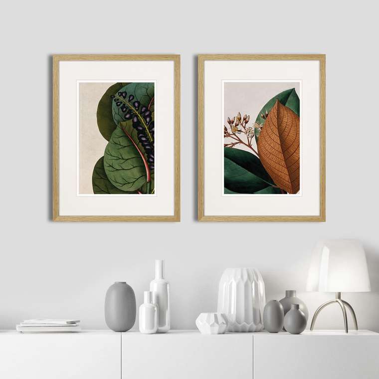 Набор из двух картин Exotic plants of the world
