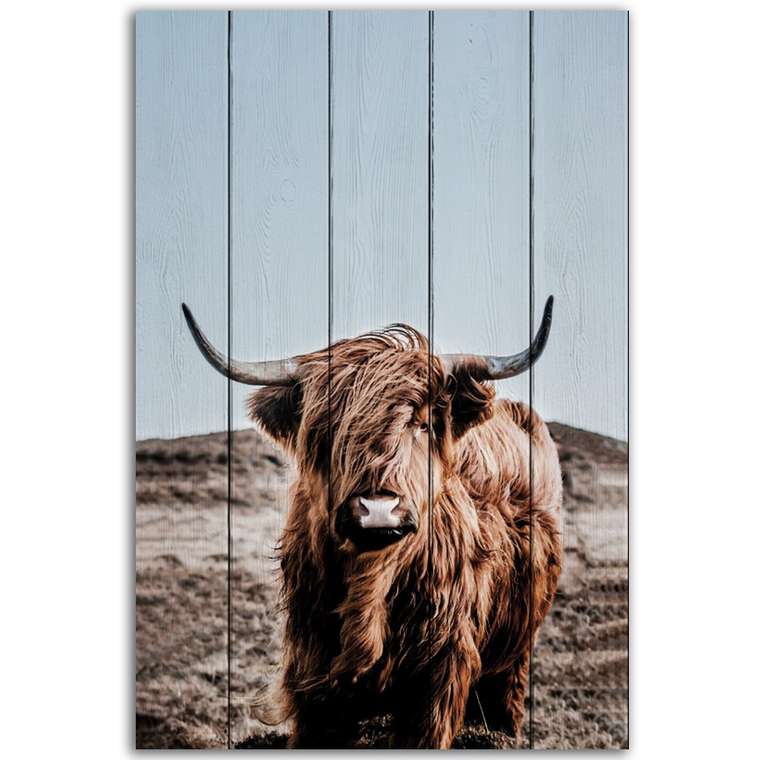 Картина на дереве Шотландский бык 2 40х60 см