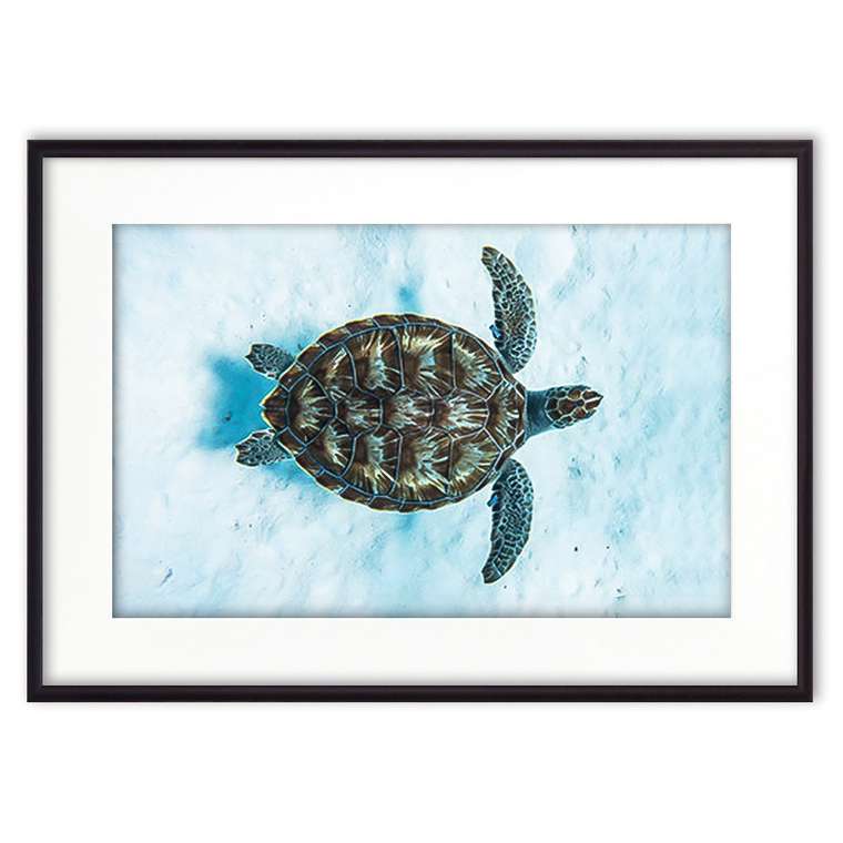 Постер в рамке Морская черепаха 21х30 см