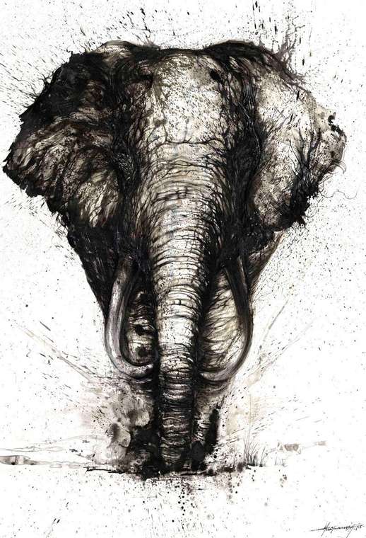 Репродукция картины на холсте Слон Знания 