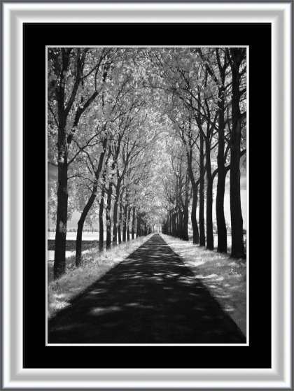 Постер Follow Me