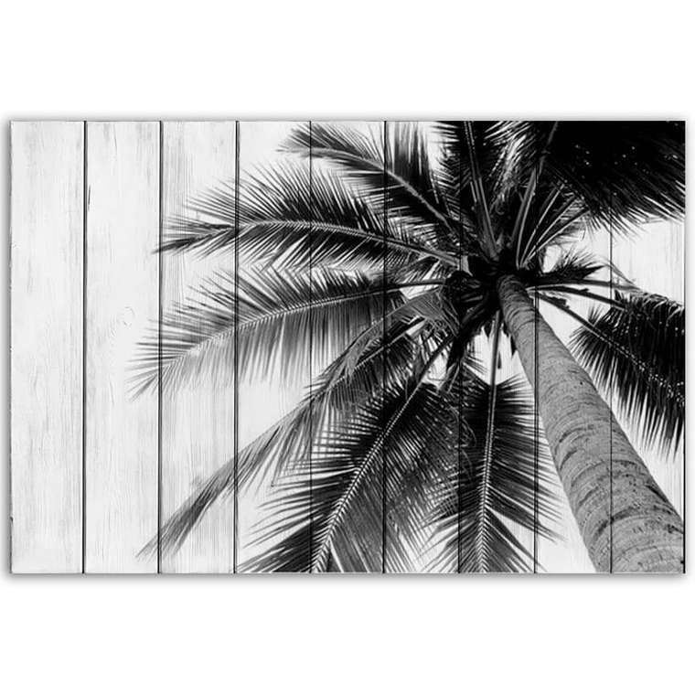 Картина на дереве Пальма 40х60 см