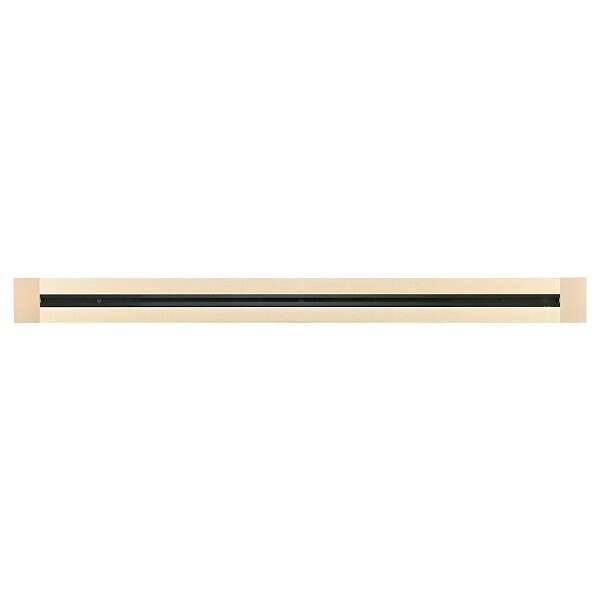 Трек встраиваемый Am-track-sockets 382301TB/100 Gold