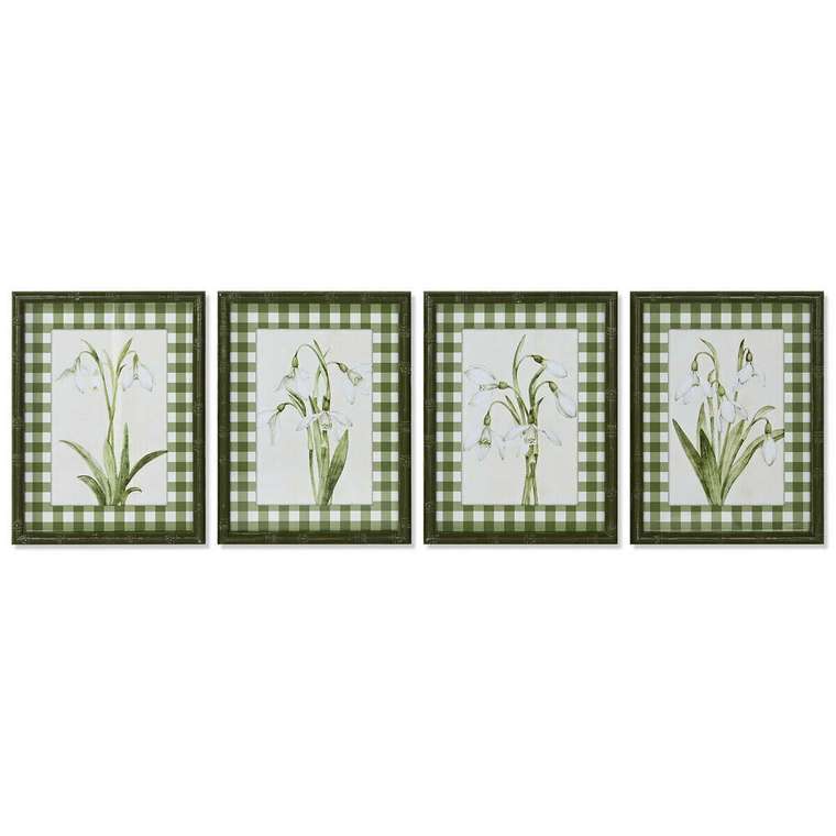 Картина Зеленый Бежевый Shabby Chic Ботанические растения 30 x 2,5 x 40 cm (4 штук)