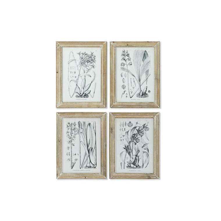 Картина современный Ботанические растения 30 x 2 x 40 cm (4 штук)