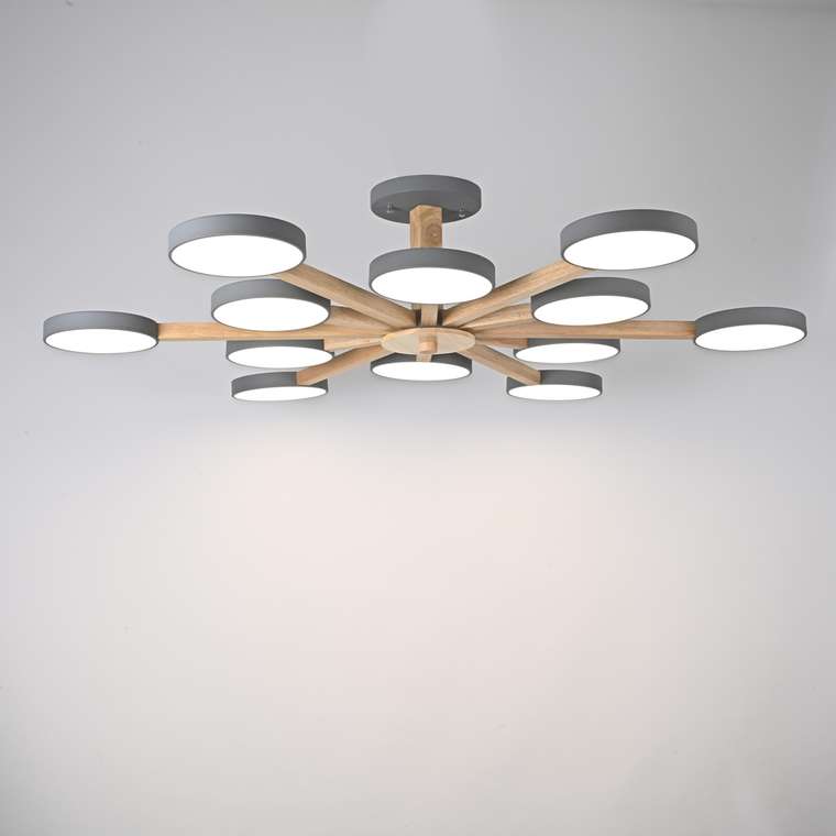 Потолочный светильник TURNA L12 Grey