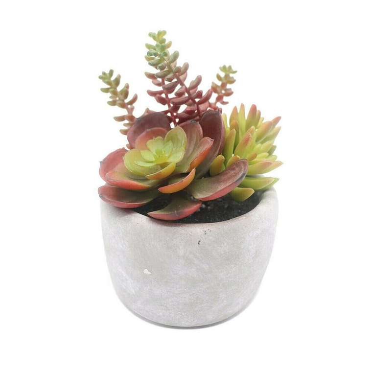 Декоративное растение Керамика Пластик 12,7 x 15,24 x 12,7