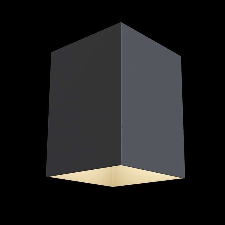 Потолочный светильник Alfa черного цвета