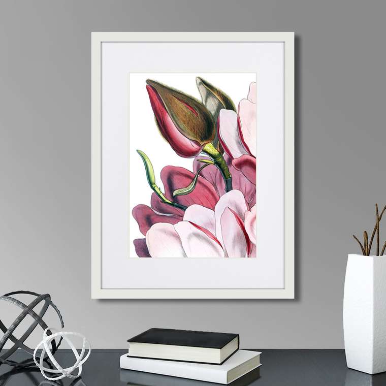 Набор из четырех репродукций картин Himalaya Plants Pink-Flower on white 