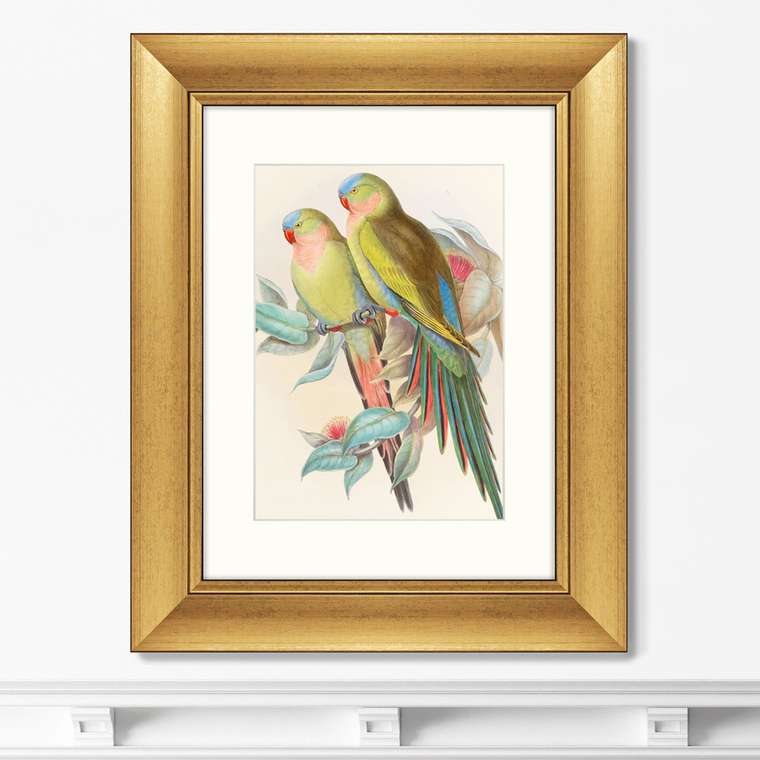 Репродукция картины Love parrots 1850 г.