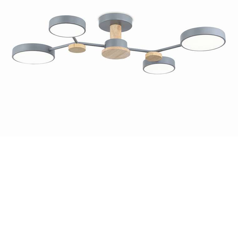 Светильник потолочный Ambrella Comfort FL4859
