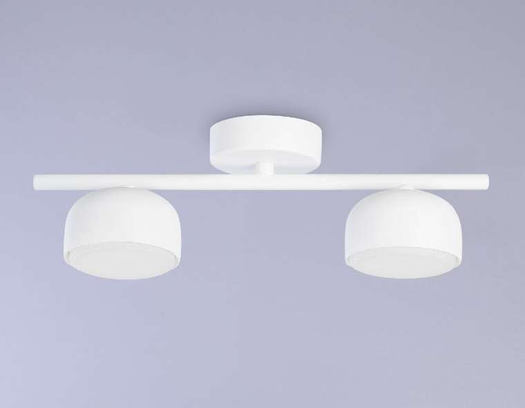 Потолочный светильник TECHNO SPOT TN71022 (металл, цвет белый)