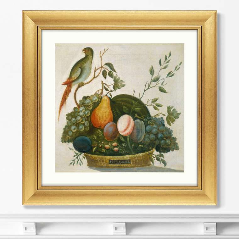 Репродукция картины в раме Basket of Fruit with Parrot, 1777г.