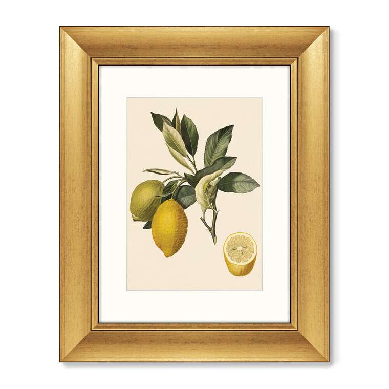 Набор из двух репродукций картин Juicy fruit lithography №10 1870 г.