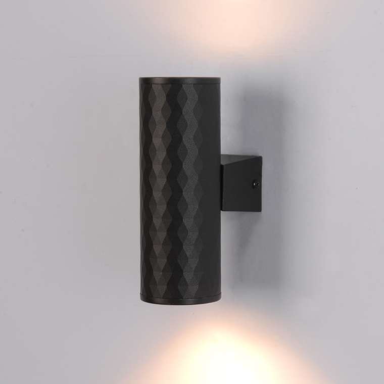Фасадный светильник Arte Lamp HYADUM A3458AL-2BK