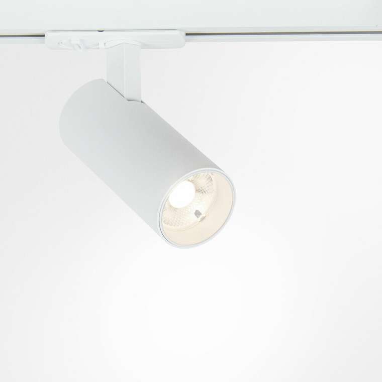 Трековый светильник Arte Lamp BENE A1945PL-1WH