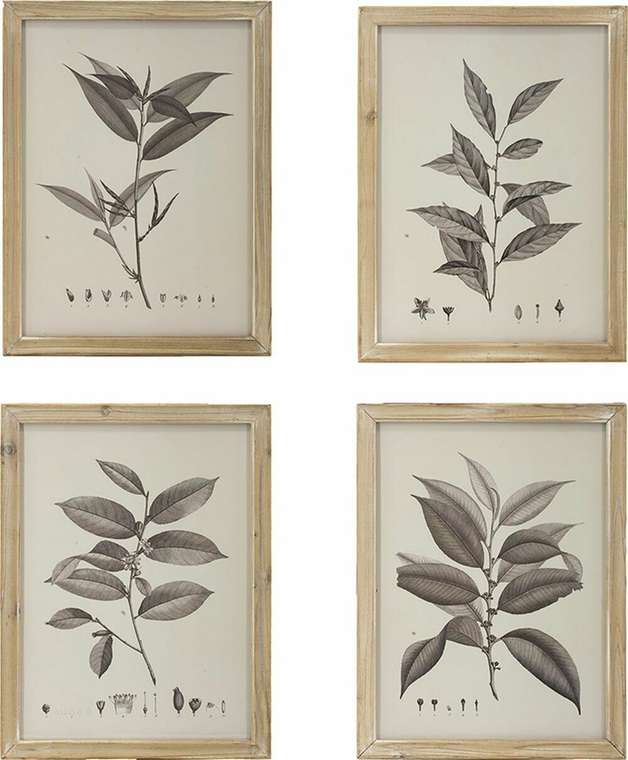 Набор из 4 панно Флора бежевого цвета