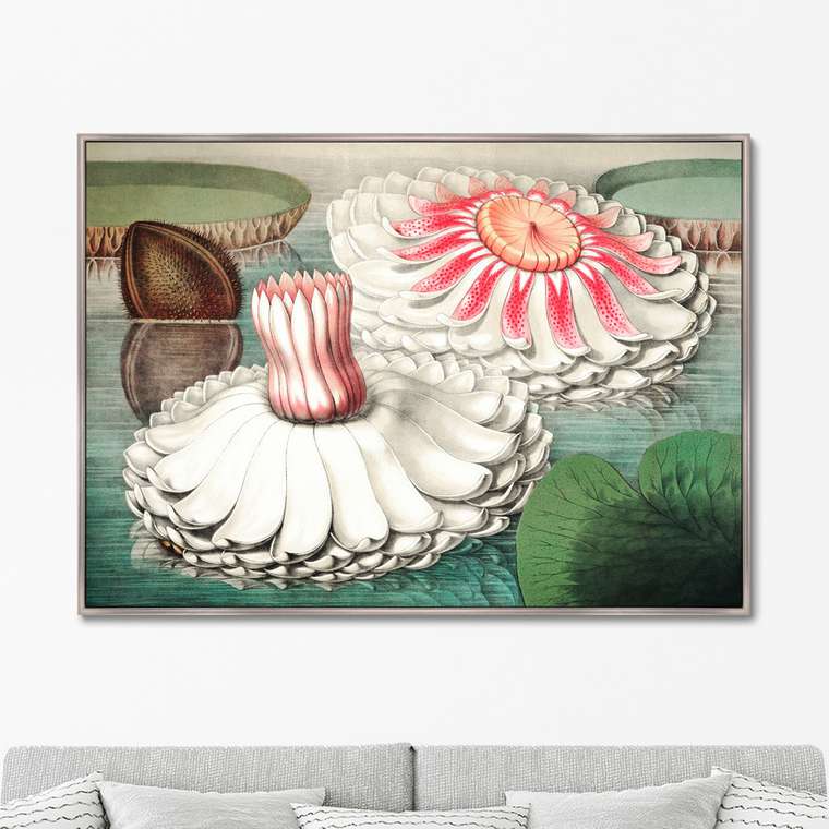 Репродукция картины Water lily during bloom 1870 г.