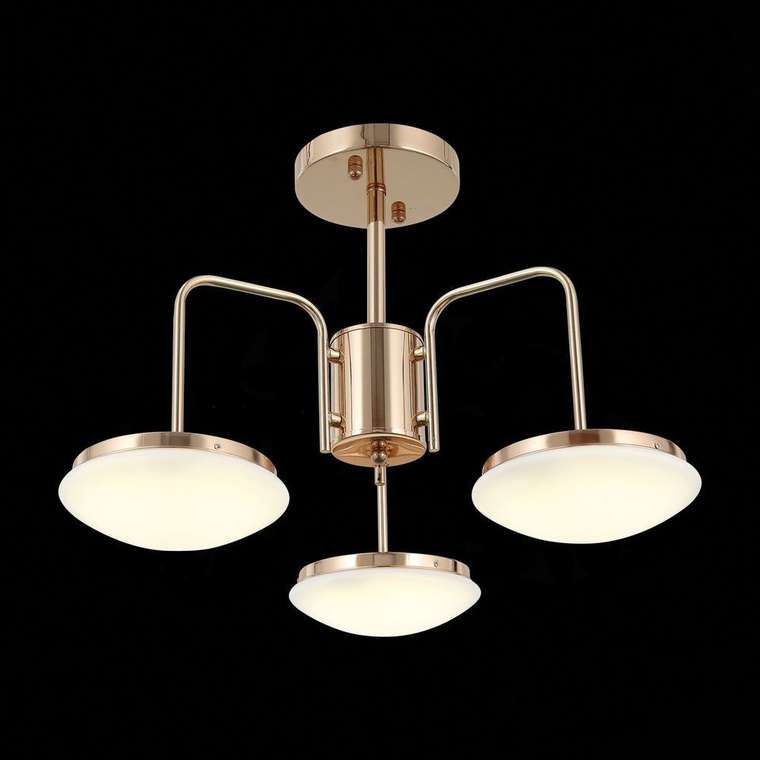 Потолочная светодиодная люстра ST Luce Pratico 