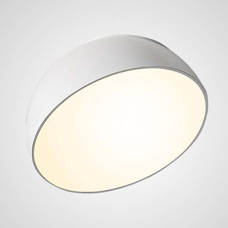 Потолочный светильник SELDEN D30 White