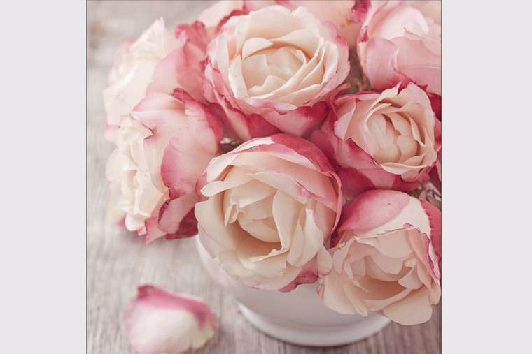 PRO-Art Репродукция Glas Art Vintage Roses