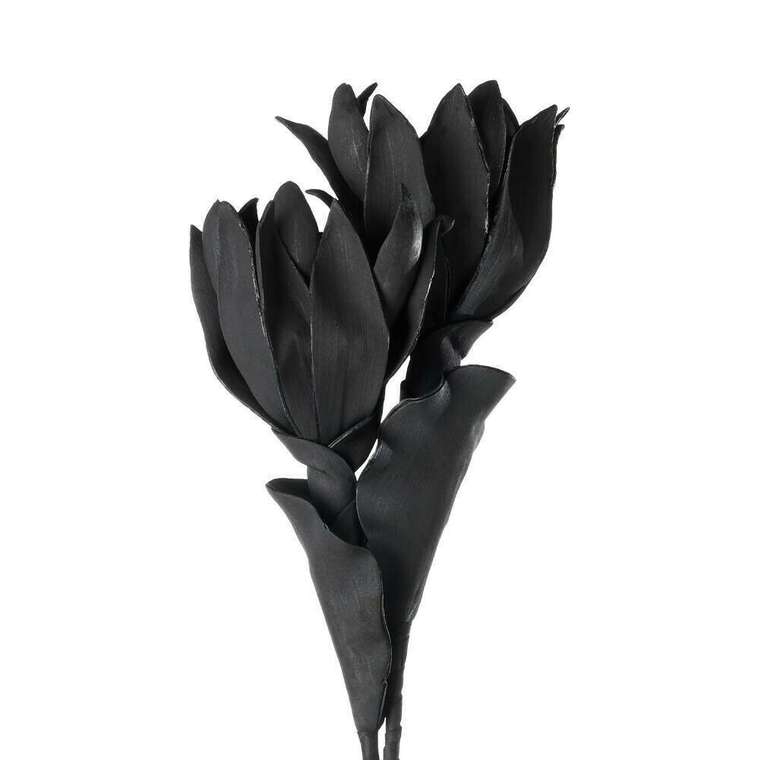 Искусственное растение Molave черного цвета