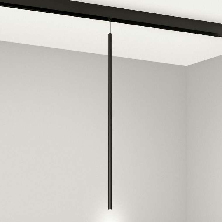Трековый магнитный светильник Arlight MAG-ORIENT-SPOT-HANG-L600-R12-2W Day4000 (BK, 20 deg, 48V) 044501