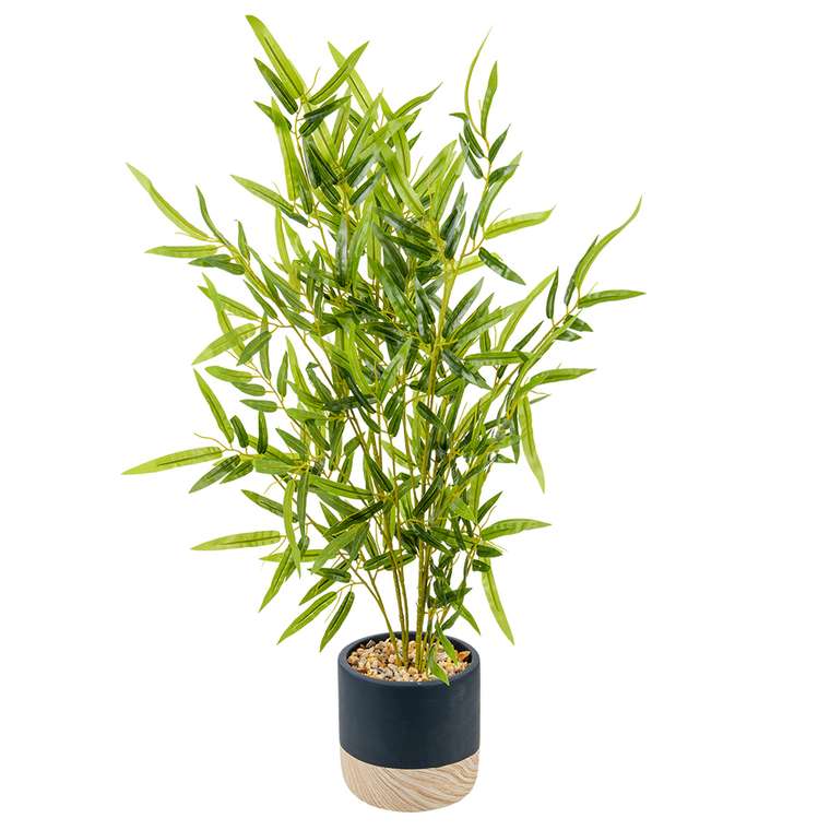 Декоративное растение бамбук в цементном горшке