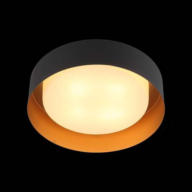 Потолочный светильник Chio с плафоном из стекла
