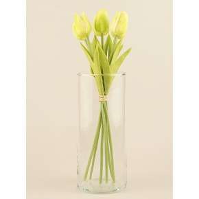 Цветы "Tulipe"