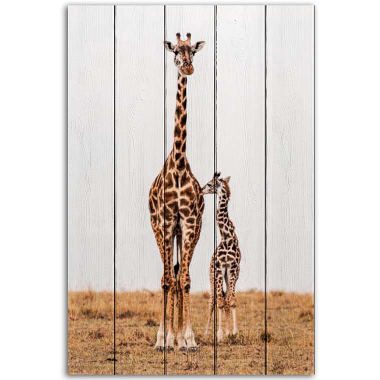 Картина на дереве Жирафы 40х60 см