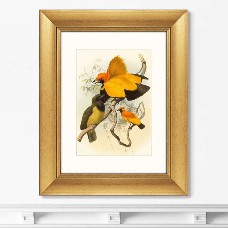 Картина Золотые райские птицы 1885 г. 