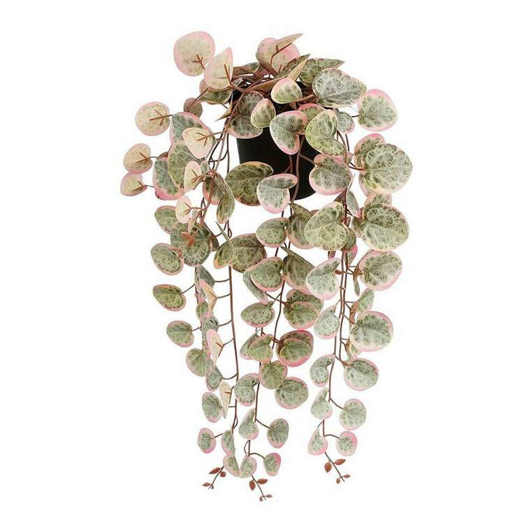 Декоративное растение Ceropegia Woodii 10 x 46 x 12 cm Искусственная Для подвешивания