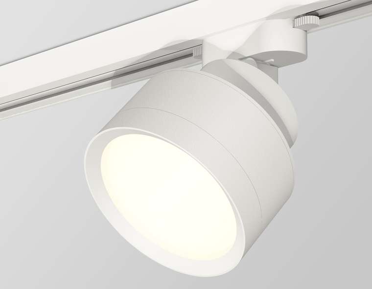 Трековый светильник Ambrella Light Track System XT8101001 (A2524, A2105, C8101, N8112)