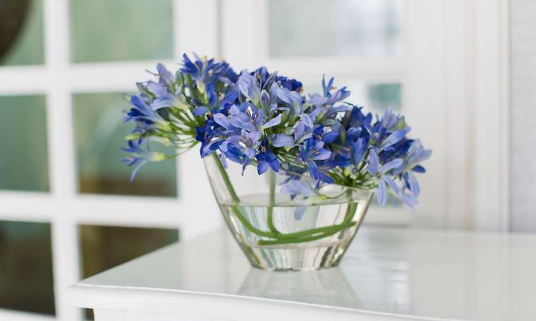 Композиция из искусственных цветов - Голубой агапантус