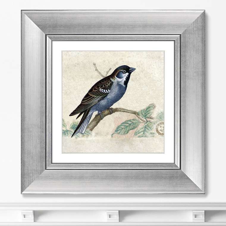 Картина Птицы винтажная почтовая открытка №1 1918 г.