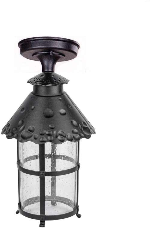 Потолочный светильник уличный IP44 Oasis Light CAIOR 1 81505A Bl в виде фонаря