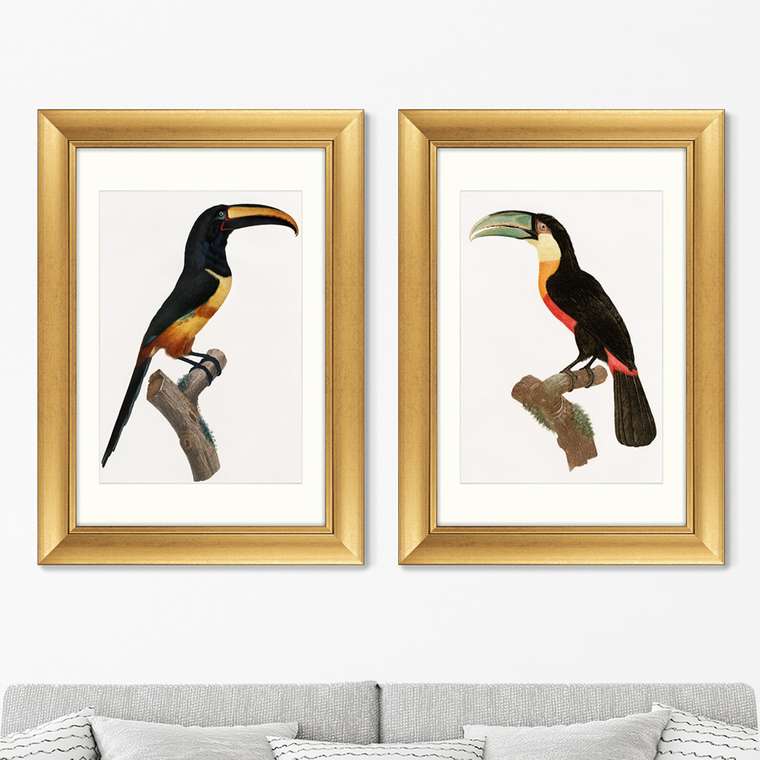 Набор из двух репродукций картин Beautiful toucans №1 1806 г.