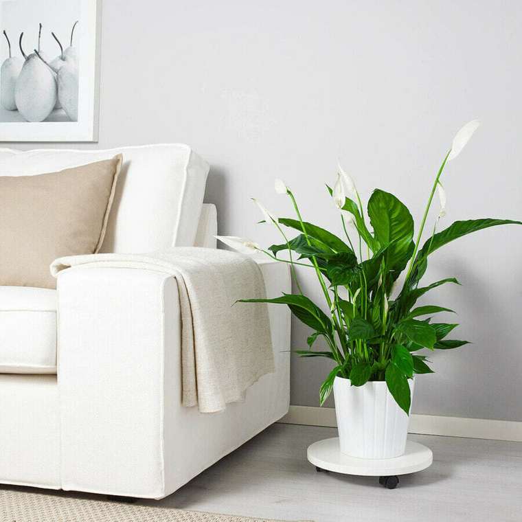 Горшки-подставки для Іветов Plant, одностворчатые, 17 см