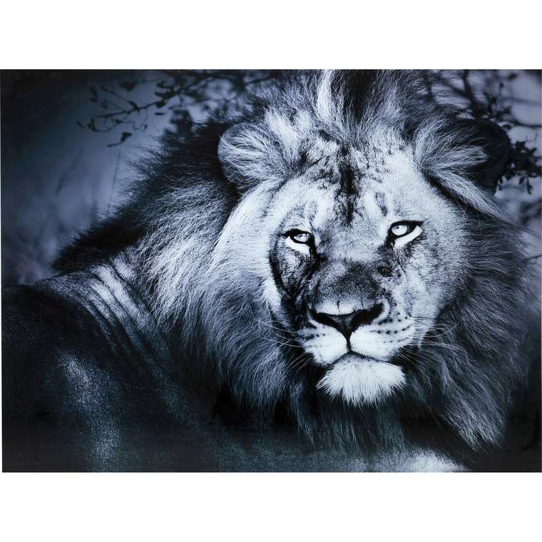 Картина Lion King 120х160 черно-синего цвета