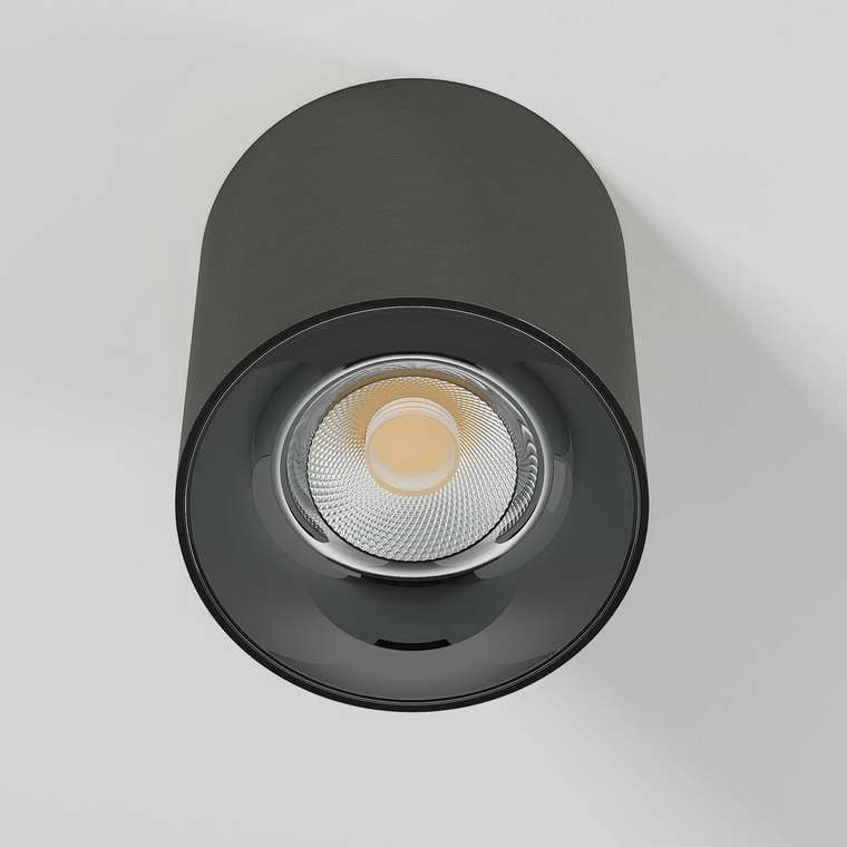 Светильник потолочный светодиодный Primo 12W 4000K титан 25116/LED