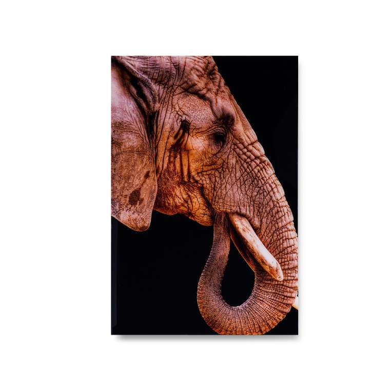 Картина Red Elephant