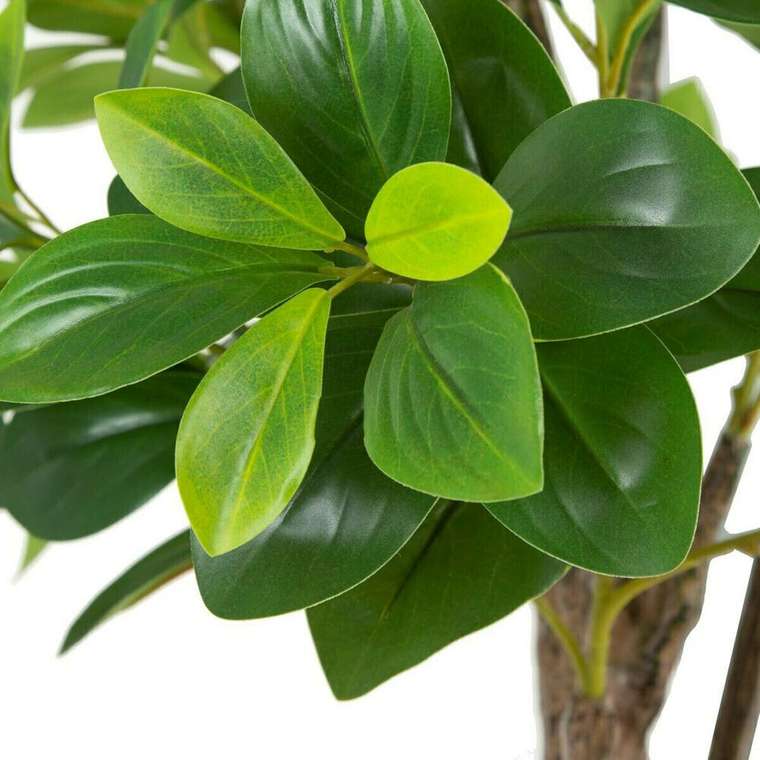 Декоративное растение Зеленый PVC 145 cm Peperomia