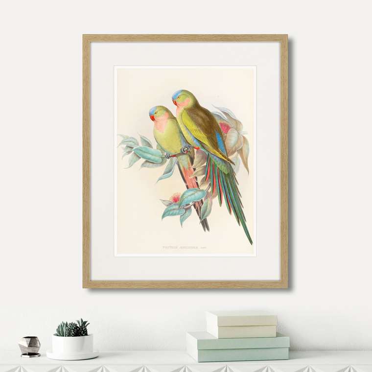 Набор из трех картин Love parrots