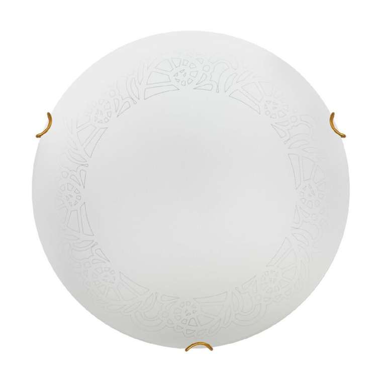 Настенно-потолочный светильник Ammonite 7602/DL (стекло, цвет белый)