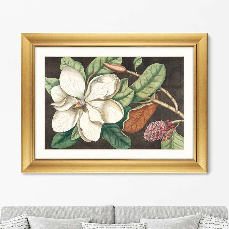 Репродукция картины Beauty bloom №1 1732 г.