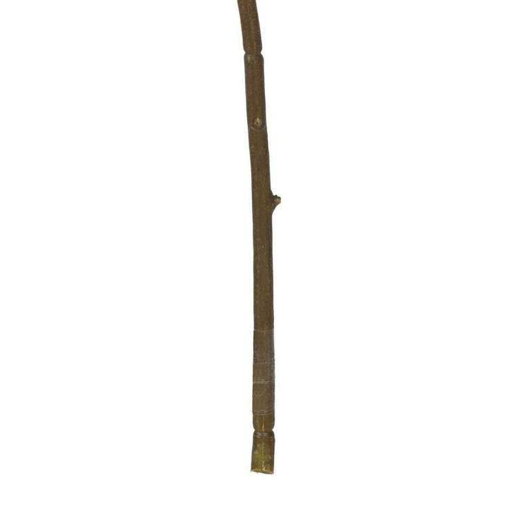 Декоративное растение полиэстер 3 X 15 X 95 CM