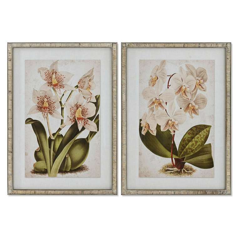 Картина Тропический Орхидея 50 x 2,5 x 70 cm (2 штук)