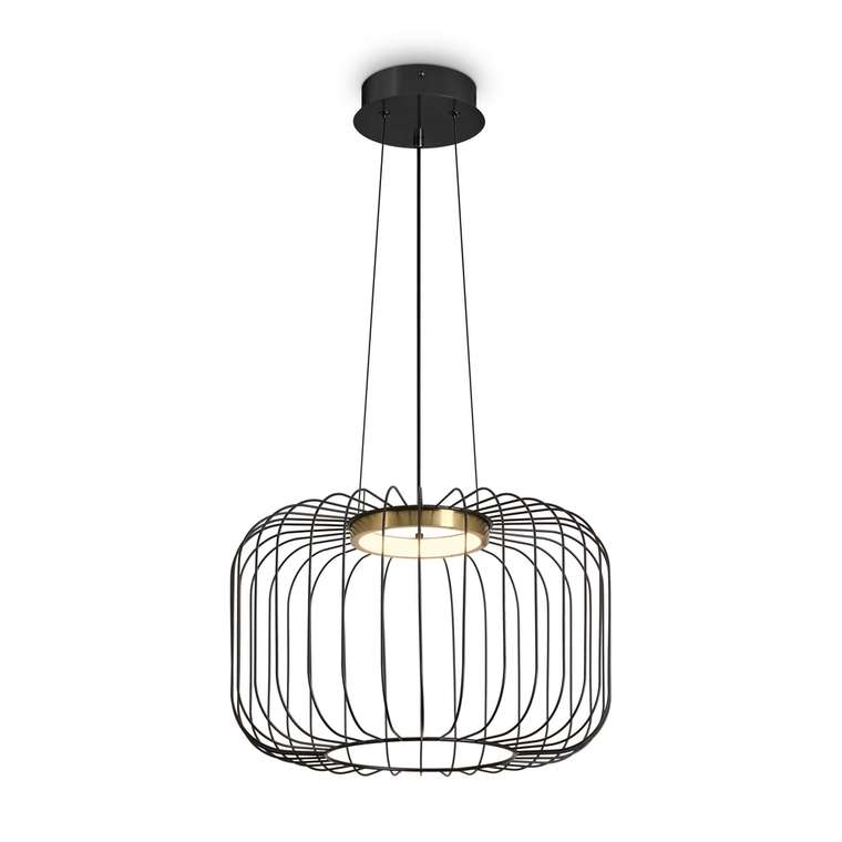 Подвесной светильник Freya FR5398PL-L8B Citrus Modern