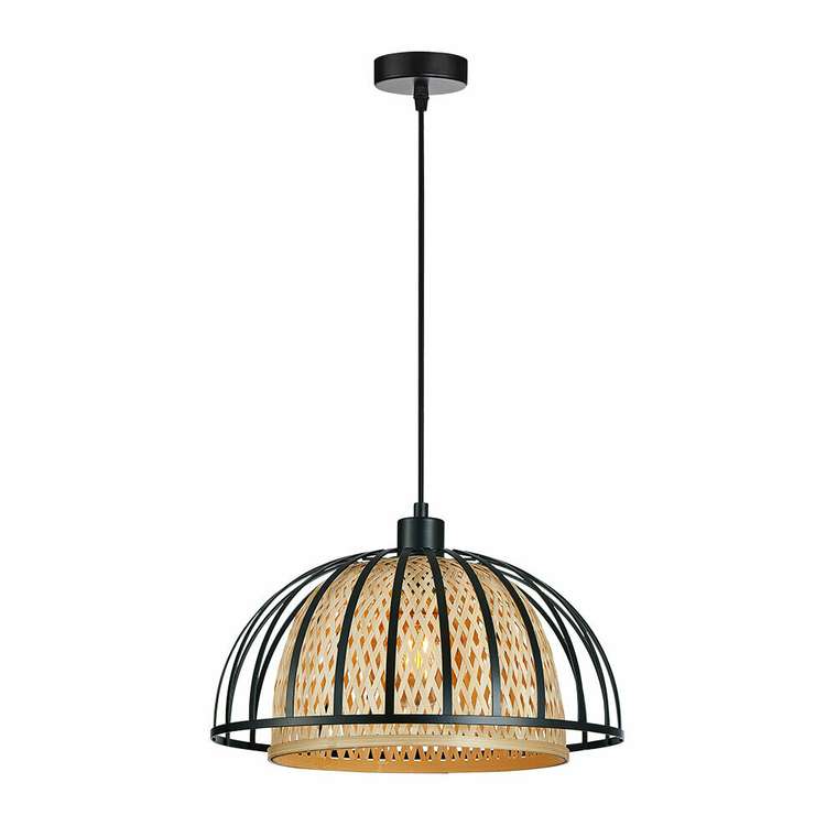 Подвесной светильник Arte Lamp WOODSTOCK A7071SP-1BK